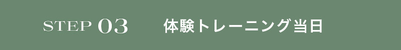 STEP03